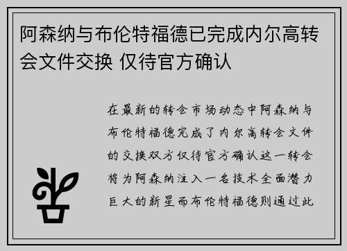 阿森纳与布伦特福德已完成内尔高转会文件交换 仅待官方确认
