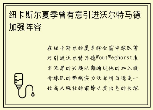 纽卡斯尔夏季曾有意引进沃尔特马德加强阵容