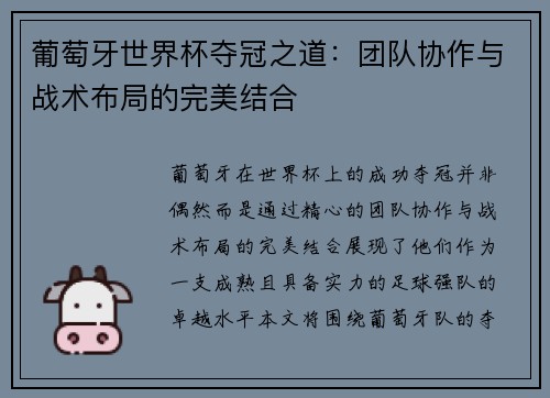 葡萄牙世界杯夺冠之道：团队协作与战术布局的完美结合